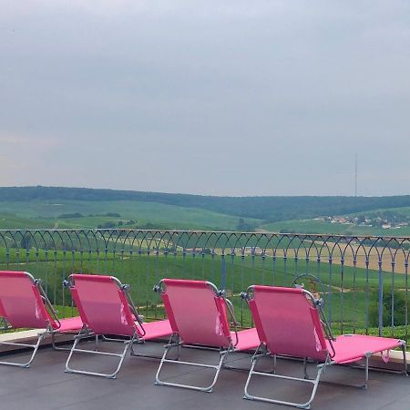 Floressens En Champagne Terrasse Privative Sur Le Vignoble Villa Fleury-la-Rivière Kültér fotó