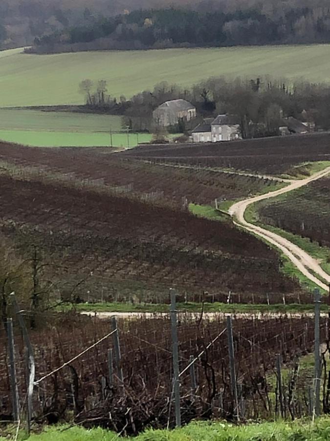 Floressens En Champagne Terrasse Privative Sur Le Vignoble Villa Fleury-la-Rivière Kültér fotó