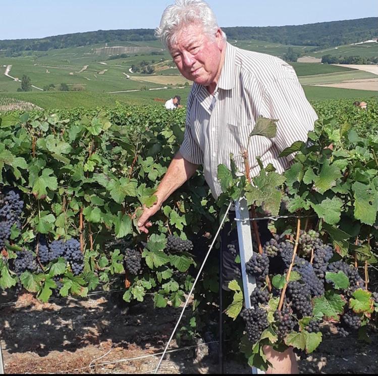Floressens En Champagne Terrasse Privative Sur Le Vignoble Villa Fleury-la-Rivière Kültér fotó