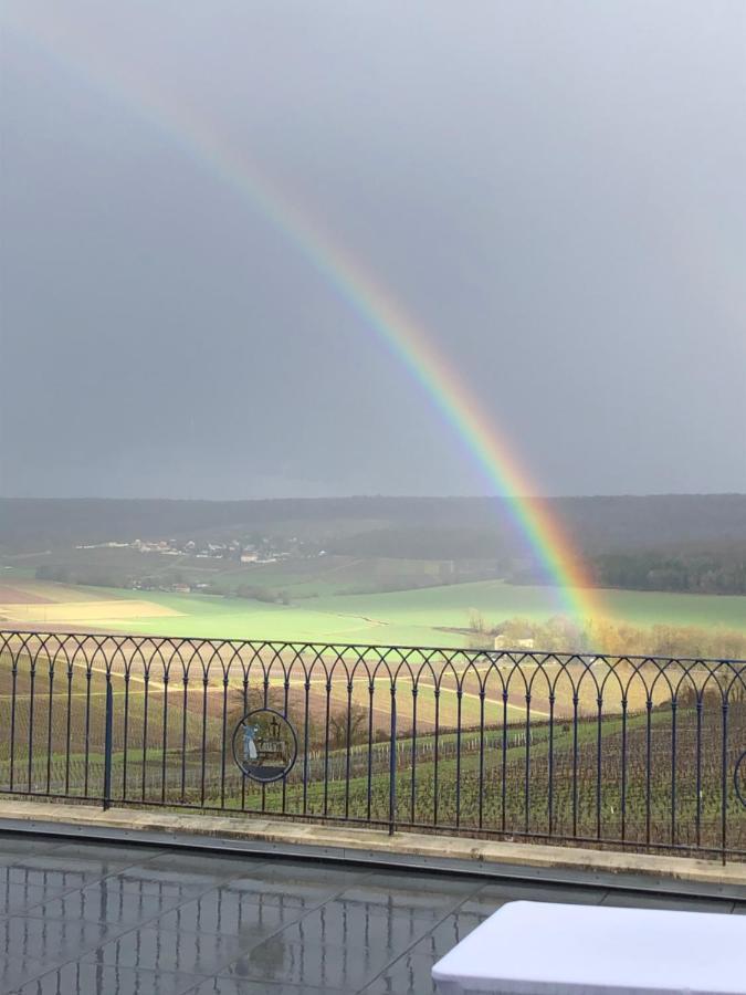 Floressens En Champagne Terrasse Privative Sur Le Vignoble Villa Fleury-la-Rivière Kültér fotó