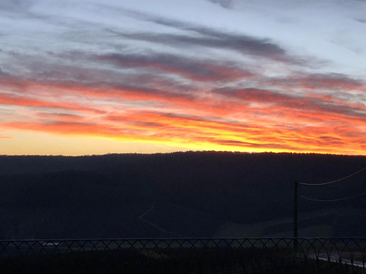 Floressens En Champagne Terrasse Privative Sur Le Vignoble Villa Fleury-la-Rivière Kültér fotó