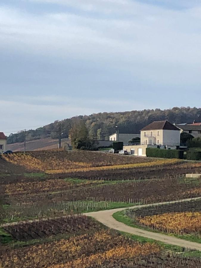 Floressens En Champagne Terrasse Privative Sur Le Vignoble Villa Fleury-la-Rivière Kültér fotó