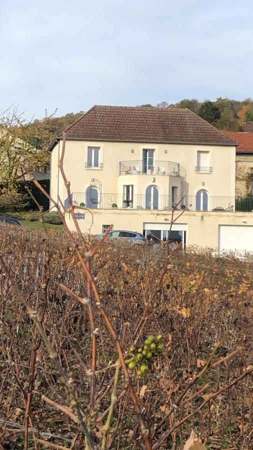 Floressens En Champagne Terrasse Privative Sur Le Vignoble Villa Fleury-la-Rivière Kültér fotó
