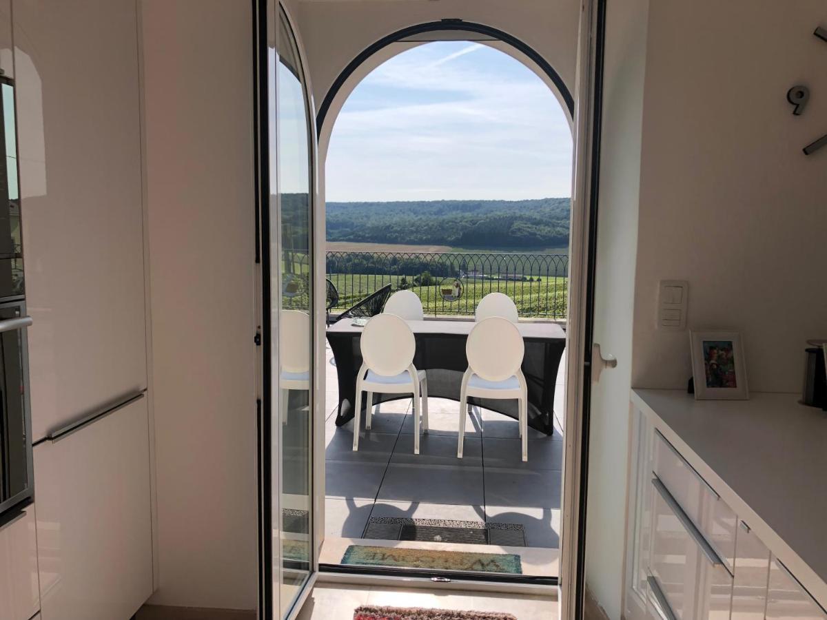 Floressens En Champagne Terrasse Privative Sur Le Vignoble Villa Fleury-la-Rivière Kültér fotó