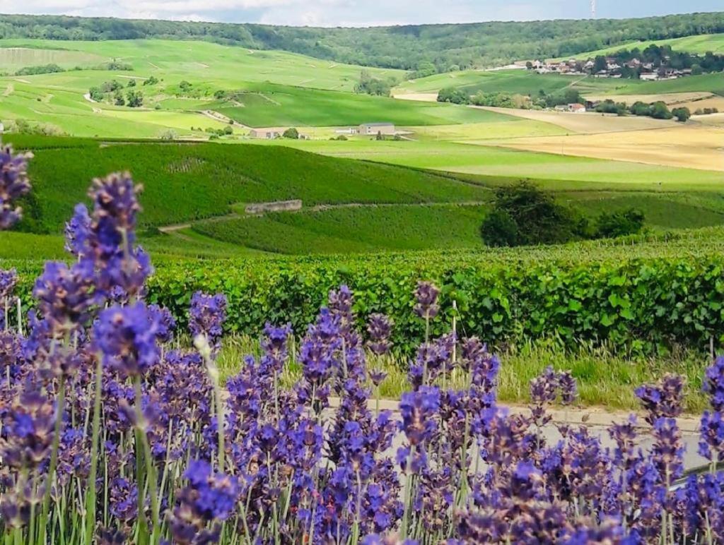 Floressens En Champagne Terrasse Privative Sur Le Vignoble Villa Fleury-la-Rivière Kültér fotó