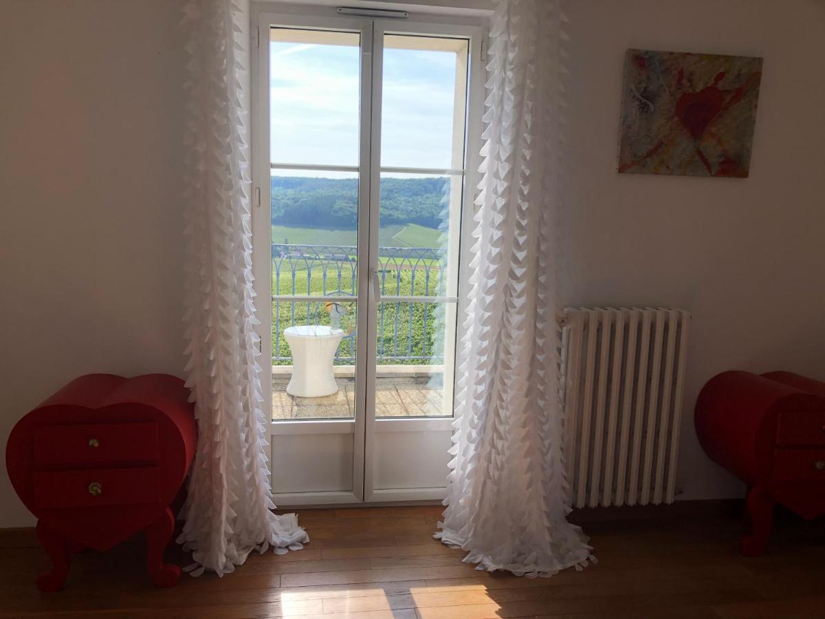 Floressens En Champagne Terrasse Privative Sur Le Vignoble Villa Fleury-la-Rivière Kültér fotó