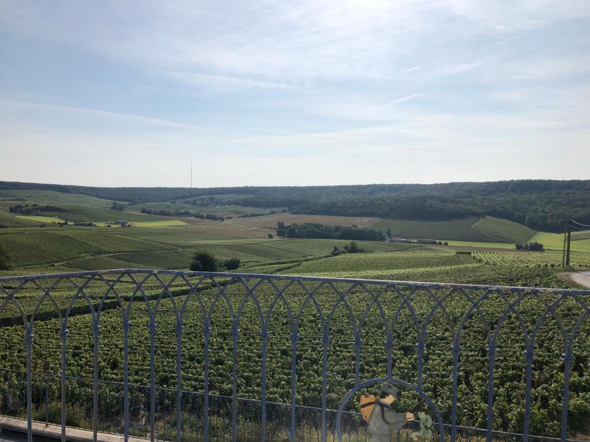 Floressens En Champagne Terrasse Privative Sur Le Vignoble Villa Fleury-la-Rivière Kültér fotó