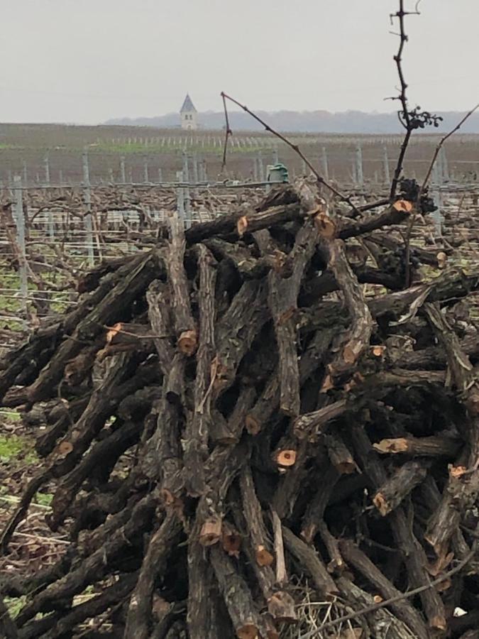 Floressens En Champagne Terrasse Privative Sur Le Vignoble Villa Fleury-la-Rivière Kültér fotó