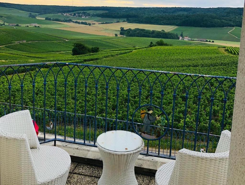Floressens En Champagne Terrasse Privative Sur Le Vignoble Villa Fleury-la-Rivière Kültér fotó