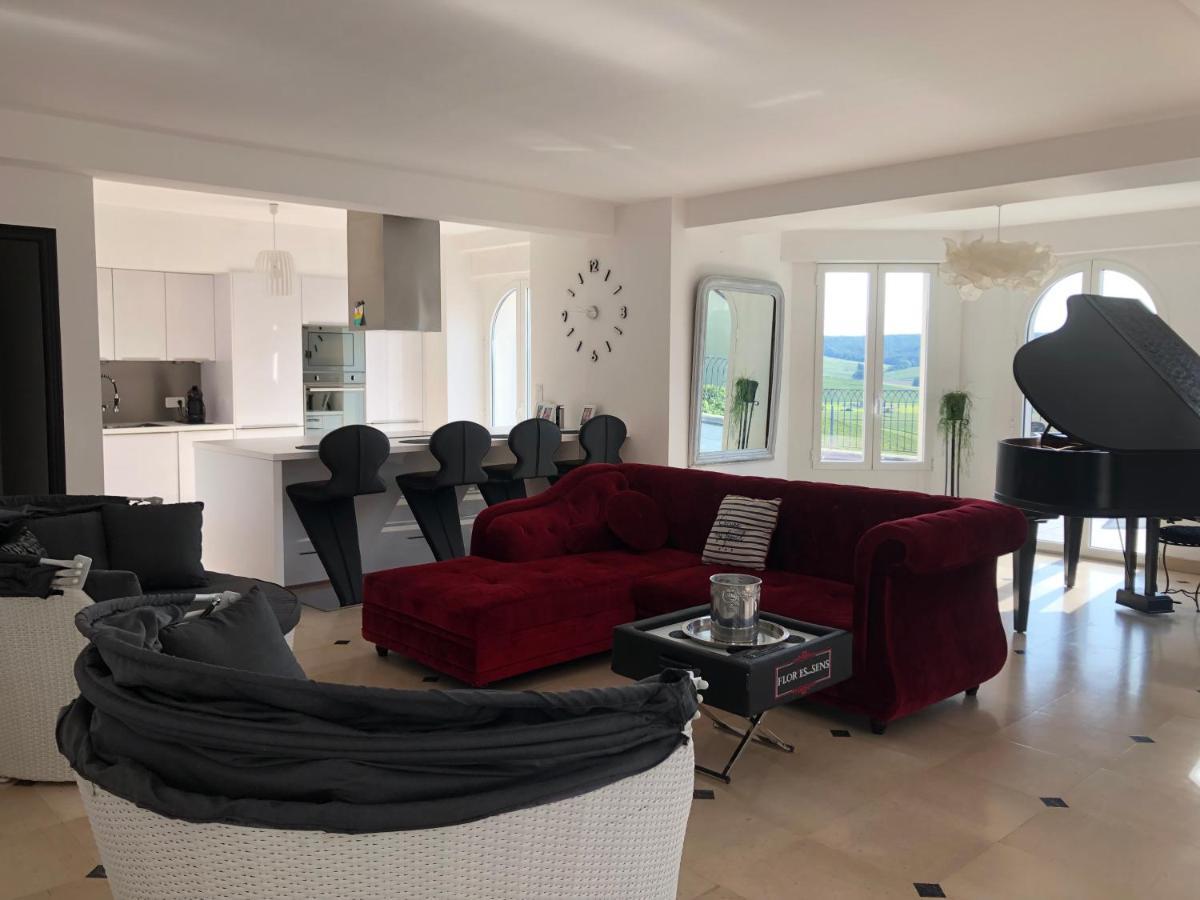 Floressens En Champagne Terrasse Privative Sur Le Vignoble Villa Fleury-la-Rivière Kültér fotó