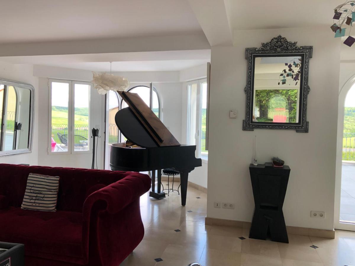 Floressens En Champagne Terrasse Privative Sur Le Vignoble Villa Fleury-la-Rivière Kültér fotó