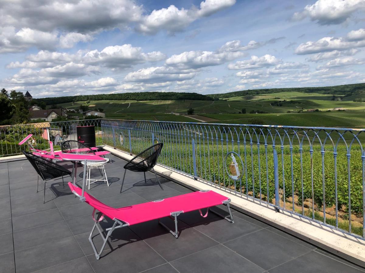 Floressens En Champagne Terrasse Privative Sur Le Vignoble Villa Fleury-la-Rivière Kültér fotó