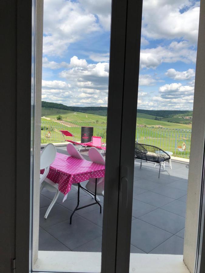 Floressens En Champagne Terrasse Privative Sur Le Vignoble Villa Fleury-la-Rivière Kültér fotó
