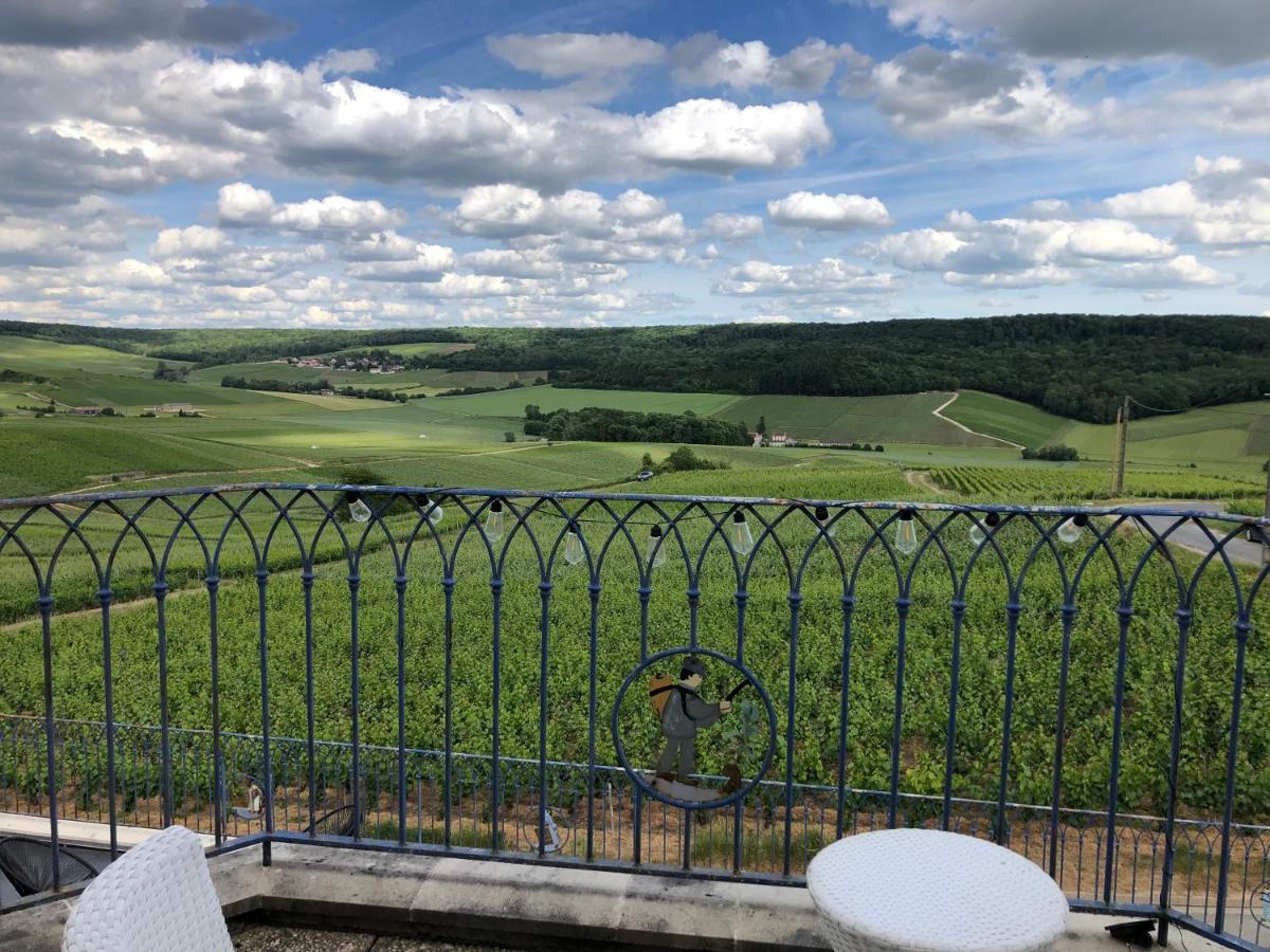 Floressens En Champagne Terrasse Privative Sur Le Vignoble Villa Fleury-la-Rivière Kültér fotó