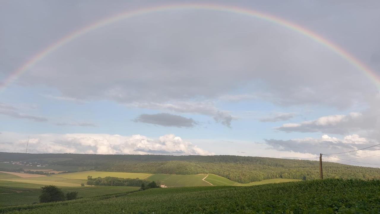 Floressens En Champagne Terrasse Privative Sur Le Vignoble Villa Fleury-la-Rivière Kültér fotó
