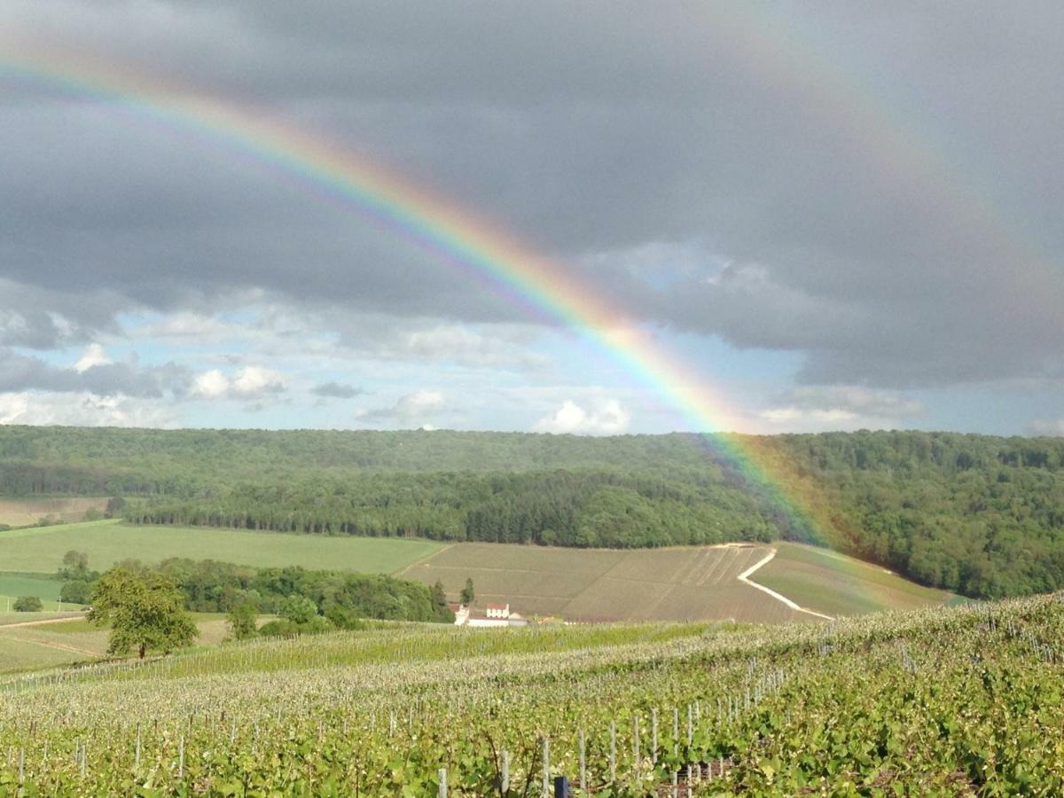 Floressens En Champagne Terrasse Privative Sur Le Vignoble Villa Fleury-la-Rivière Kültér fotó