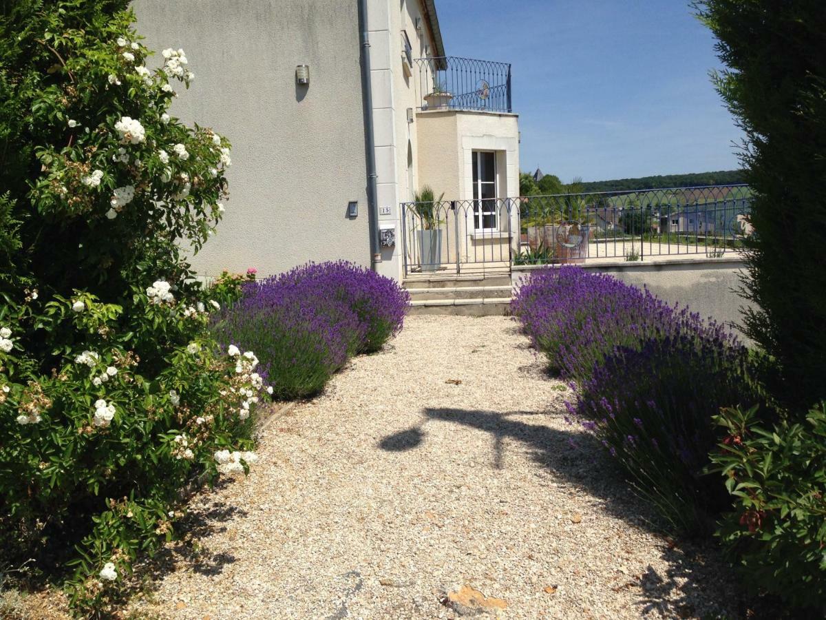 Floressens En Champagne Terrasse Privative Sur Le Vignoble Villa Fleury-la-Rivière Kültér fotó