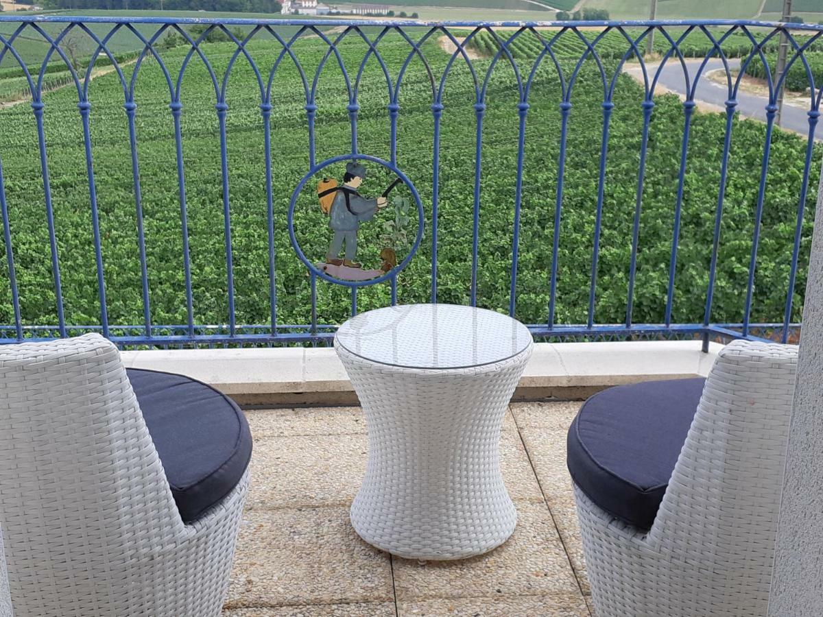 Floressens En Champagne Terrasse Privative Sur Le Vignoble Villa Fleury-la-Rivière Kültér fotó
